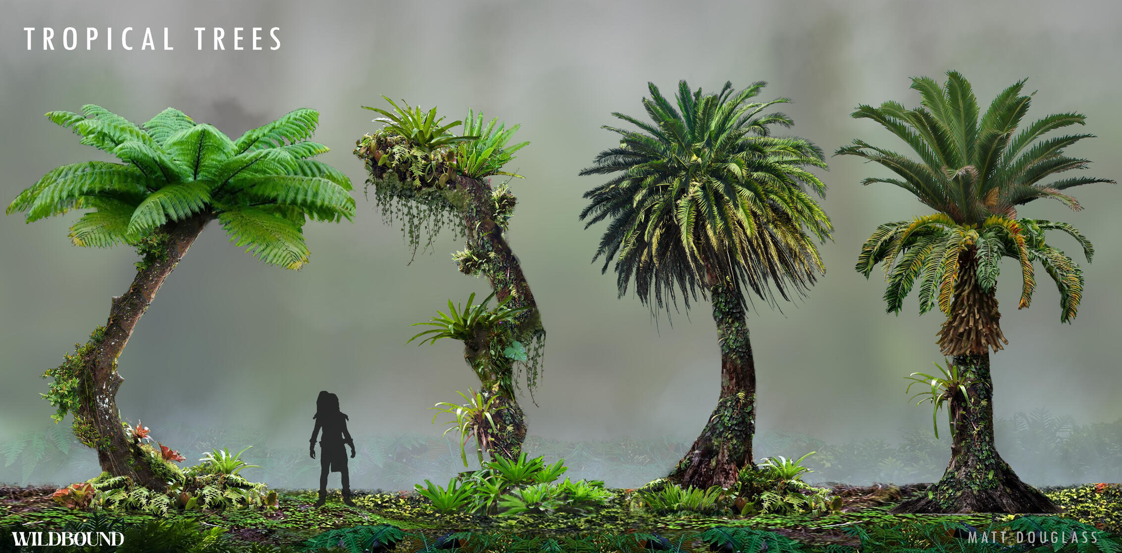 Wildbound - Tropical Trees